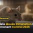 Complete Mouse Elimination Guide CT | Permanent Control 2026