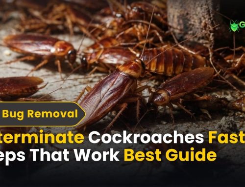 Exterminate Cockroaches Fast: 7 Steps That Actually Work