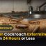 German Cockroach Extermination Gone in 24 Hours or Less