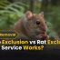 Mouse Exclusion vs Rat Exclusion: Which Service Works?