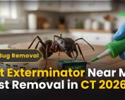 How do IPM programs work? 2 Ant Exterminator Near Me | Best Removal in CT 2026