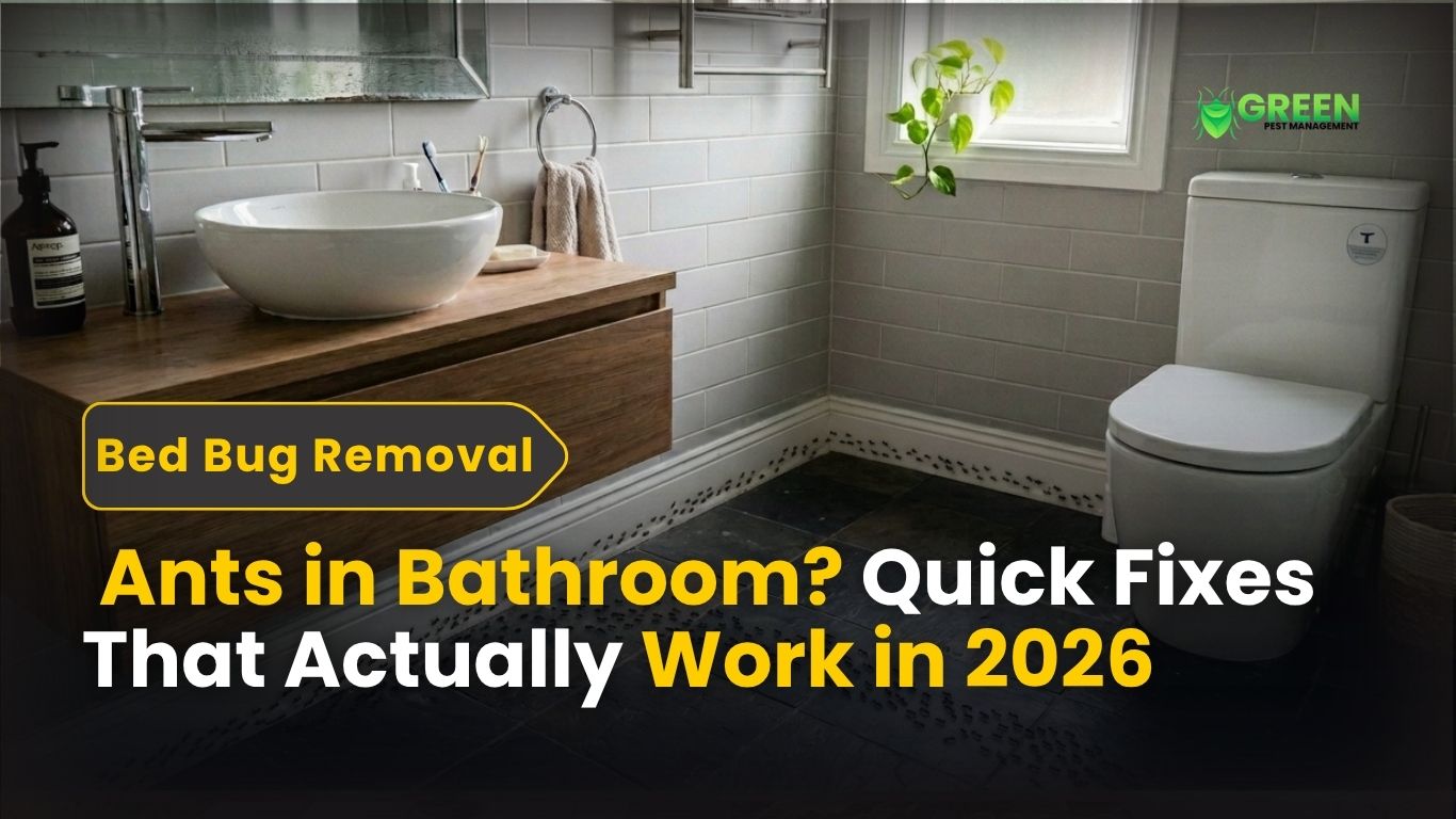 _Ants in Bathroom Quick Fixes That Actually Work in 2026