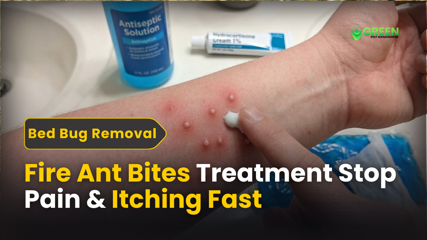 Fire Ant Bites Treatment Stop Pain & Itching Fast