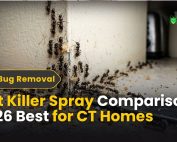 Good Lawn Maintenance with Pest Control 2 Ant Killer Spray Comparison 2026 – Best for CT Homes