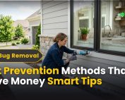 How to Get rid of Ants 5 Ant Prevention Methods That Save Money - Smart Tips