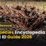 Ant Species Encyclopedia | Best Expert ID Guide 2026