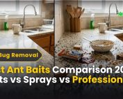 Good Lawn Maintenance with Pest Control 3 Best Ant Baits Comparison 2026 | Baits vs Sprays vs Professional