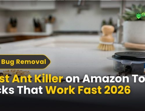 Best Ant Killer on Amazon: Top Picks That Work Fast (2026)