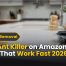Best Ant Killer on Amazon Top Picks That Work Fast (2026)