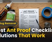 How to Get rid of Ants 3 _Best Ant Proof Checklist Solutions That Work