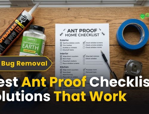 Ant Proof Checklist – Top Solutions That Work