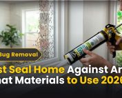 How to Get rid of Ants 4 Best Seal Home Against Ants - What Materials to Use 2026