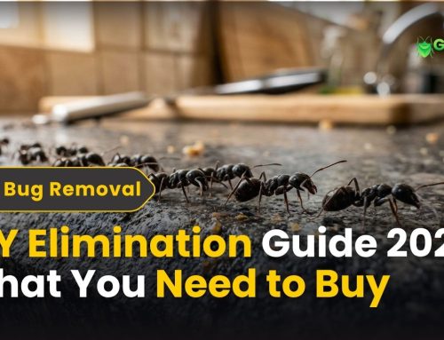 DIY Elimination Guide – What You Need to Buy