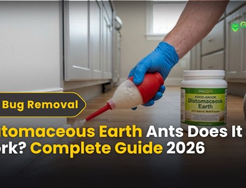diatomaceous earth ants Does It Work in 2026? Best Killer