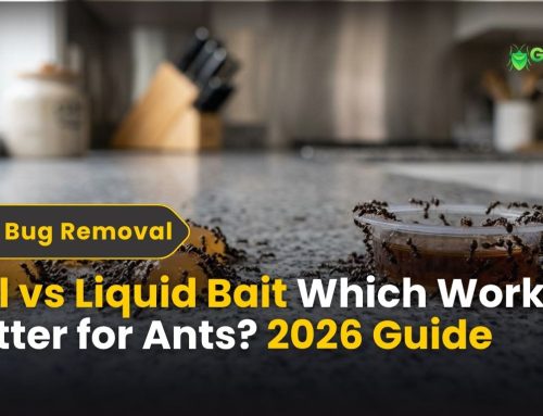 Gel vs Liquid Bait: Which Works Better for Ants? (2026 Guide)