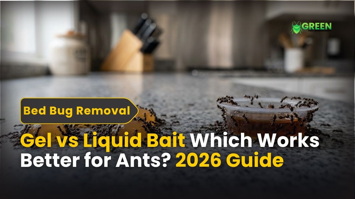 Gel vs Liquid Bait: Which Works Better for Ants? (2026 Guide)