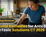 How do IPM programs work? 5 Natural Remedies for Ants | Best Non-Toxic Solutions CT 2026