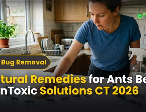 Natural Remedies Center CT | Safe Healing Near You