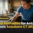 Natural Remedies for Ants | Best Non-Toxic Solutions CT 2026