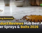 What Is Green Pest Control 2 Product Reviews Hub Best Ant Killer Sprays & Baits 2026