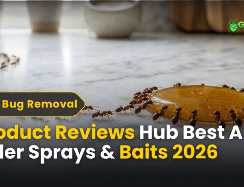 Product Reviews Hub: Best Deals & Picks for Ant Control in CT (2026 Edition)