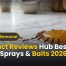 Product Reviews Hub Best Ant Killer Sprays & Baits 2026