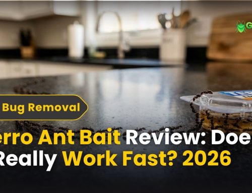 Terro Ant Bait Review: Does It Really Work Fast? 2026