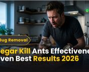 How do IPM programs work? 3 Vinegar Kill Ants Effectiveness: Proven Best Results 2026