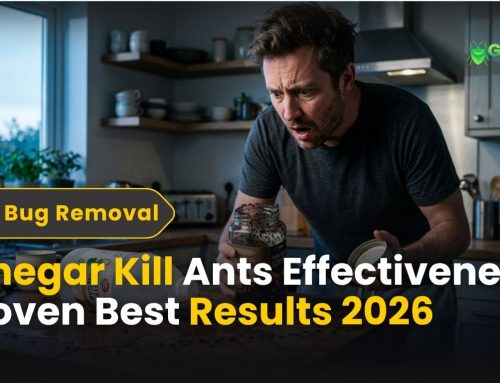 The Truth About This Kitchen Staple in Fairfield County Homes