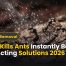 What Kills Ants Instantly | Best Fast-Acting Solutions 2026