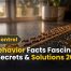 Ant Behavior Facts Fascinating Best Secrets & Solutions 2026