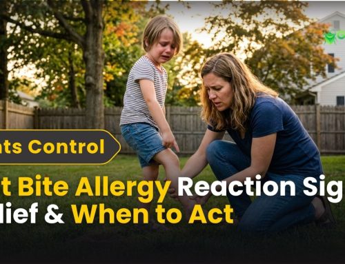 Ant Bite Allergy Reaction Signs Relief & When to Act