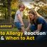 Ant Bite Allergy Reaction Signs Relief & When to Act