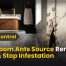 Bathroom Ants Source Removal: Find & Stop Infestation