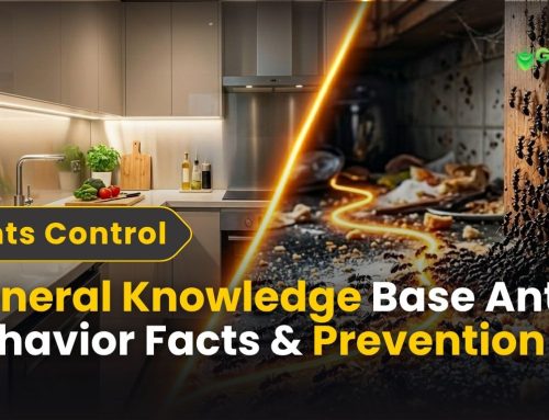 General Knowledge Base: Learn Something New Every Day | Complete Ant Behavior Guide