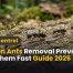 Kitchen Ants Removal Prevention – Stop Them Fast Guide