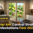 Summer Ant Control Strategies Stop Infestations Fast 2026