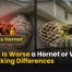 Which Is Worse a Hornet or Wasp? 7 Shocking Differences 8 Which Is Worse a Hornet or Wasp 7 Shocking Differences