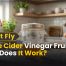 Apple Cider Vinegar Fruit Fly Trap Does It Work