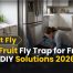 Best Fruit Fly Trap for Fridge: Easy DIY Solutions 2026