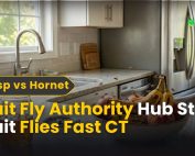Tips to Keep Bugs and Pests Out of Your Home 3 Fruit Fly Authority Hub: Stop Fruit Flies Fast | CT