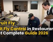 How to Get rid of Ants 5 Fruit Fly Control in Restaurants Best Complete Guide 2026