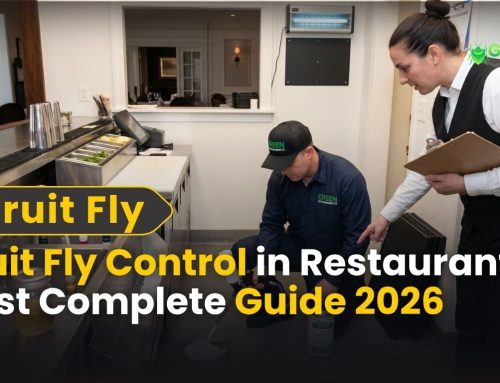 Fruit Fly Control in Restaurants: Complete Guide