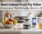 How to Get rid of Ants 3 Fruit Fly Killer Best Indoor Products Compared 2026