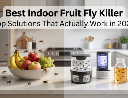 Fruit Fly Killer: Best Indoor Products Compared