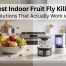 Fruit Fly Killer: Best Indoor Products Compared 2 Fruit Fly Killer Best Indoor Products Compared 2026