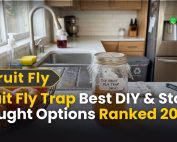 What Is Green Pest Control 5 Fruit Fly Trap Best DIY & Store Bought Options Ranked 2026