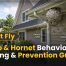 Wasp & Hornet Behavior: ID, Nesting & Prevention Guide
