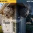 Best Time to Kill a Hornets Nest: Night vs Day 2 Best Time to Kill Hornets Nest: Night vs Day