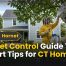 Hornet Control Guide: 15 Expert Tips for CT Homes
